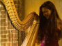 concerto 16 agosto
